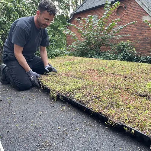 Montering af sedum step 4,
