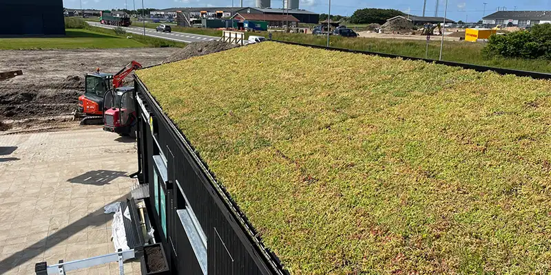Sedum tag på erhvervsbygning,